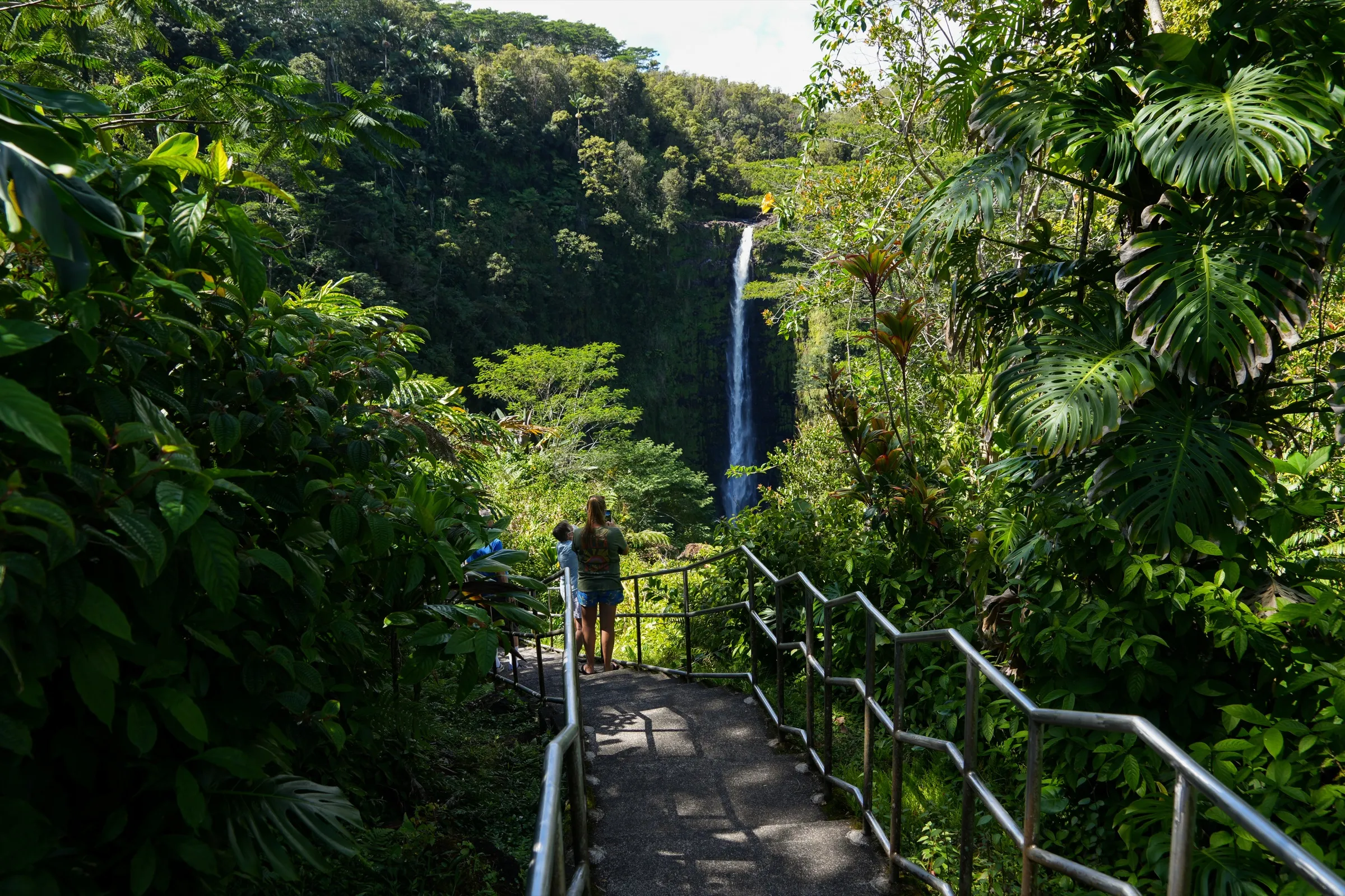 A tall waterfall dropping into a green rainforest gorge on the Big Island