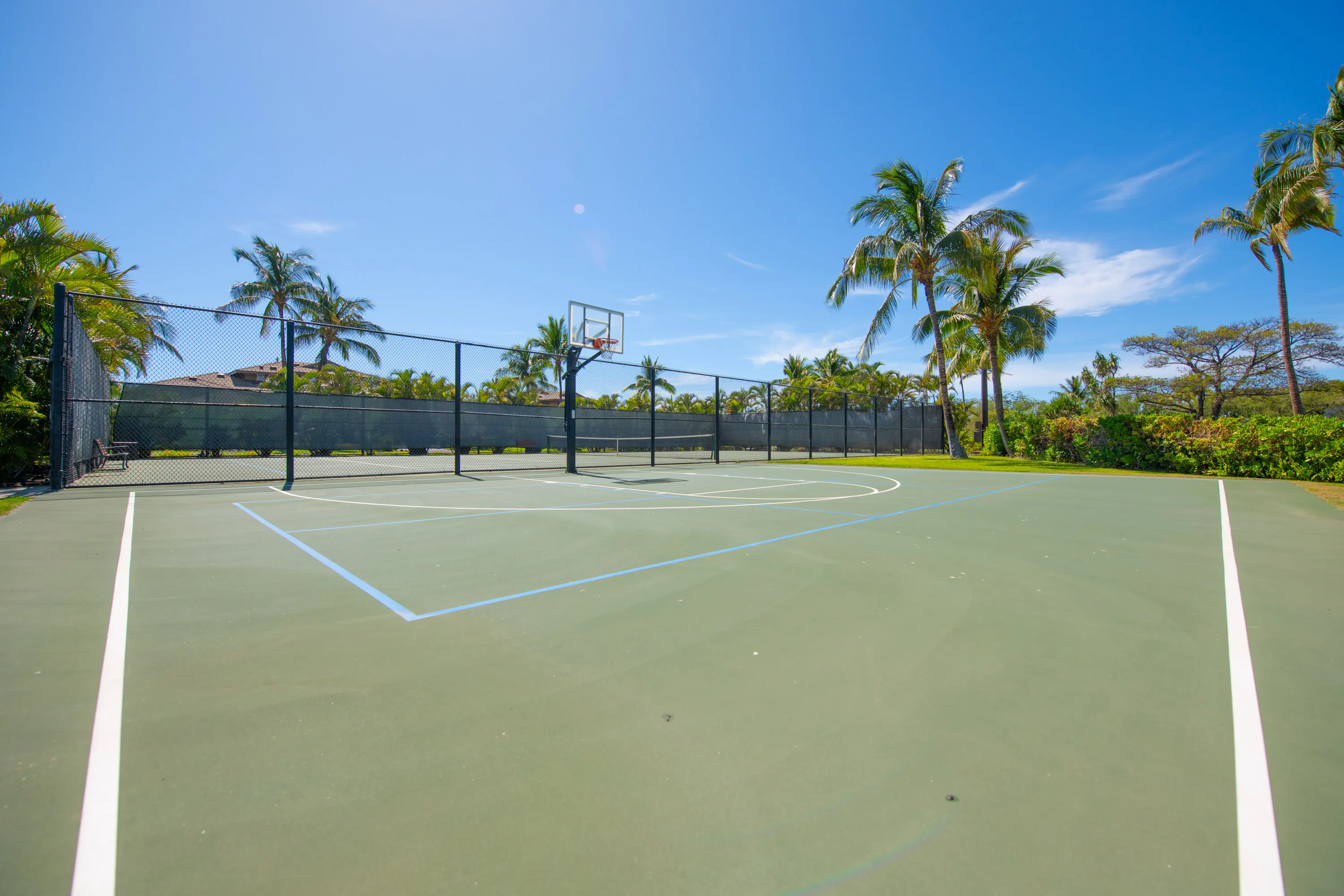 Tropical half basketball court at Hali’i Kai, Waikoloa Beach Resort.