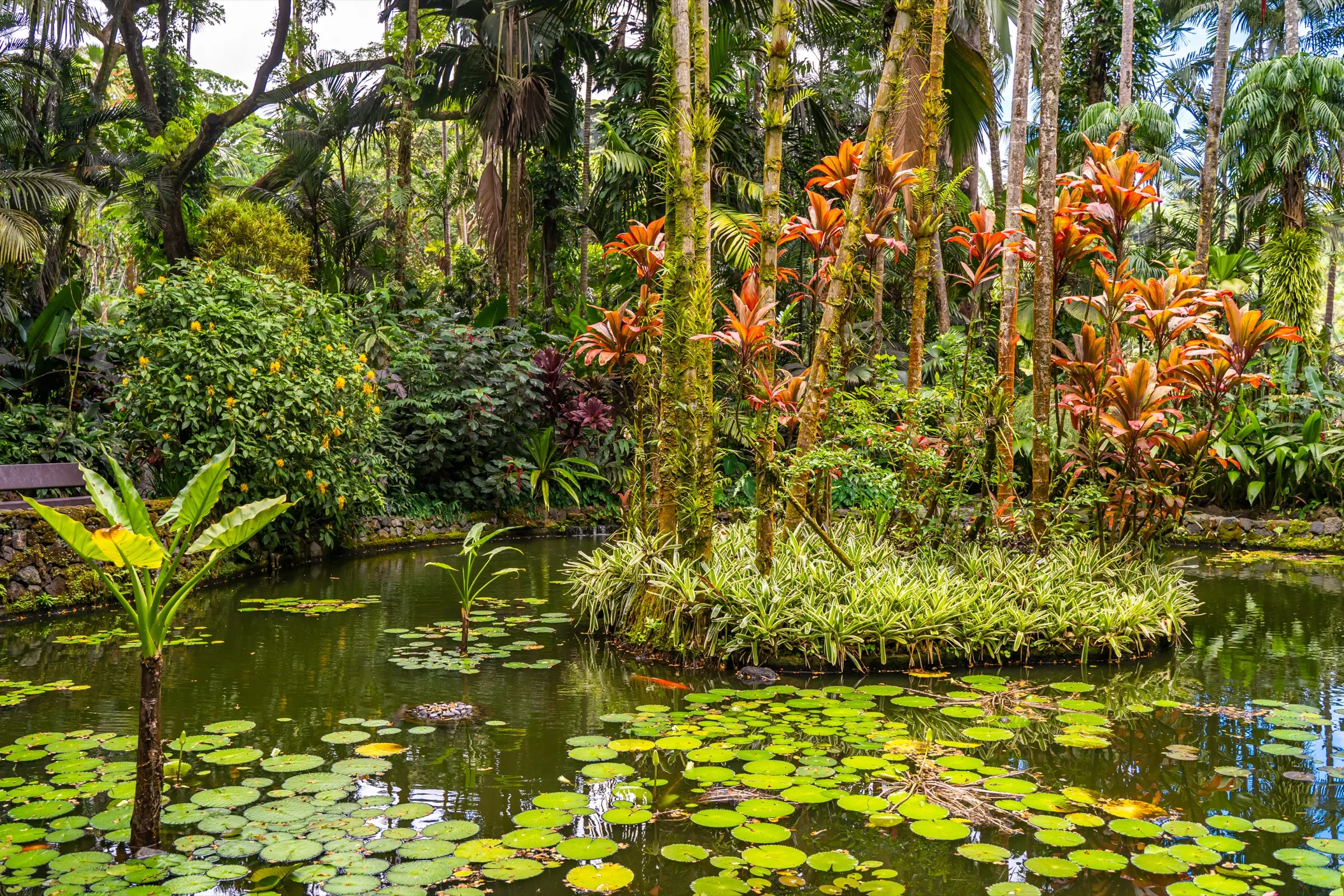 A lush tropical garden valley of palms and flowers running down to the ocean