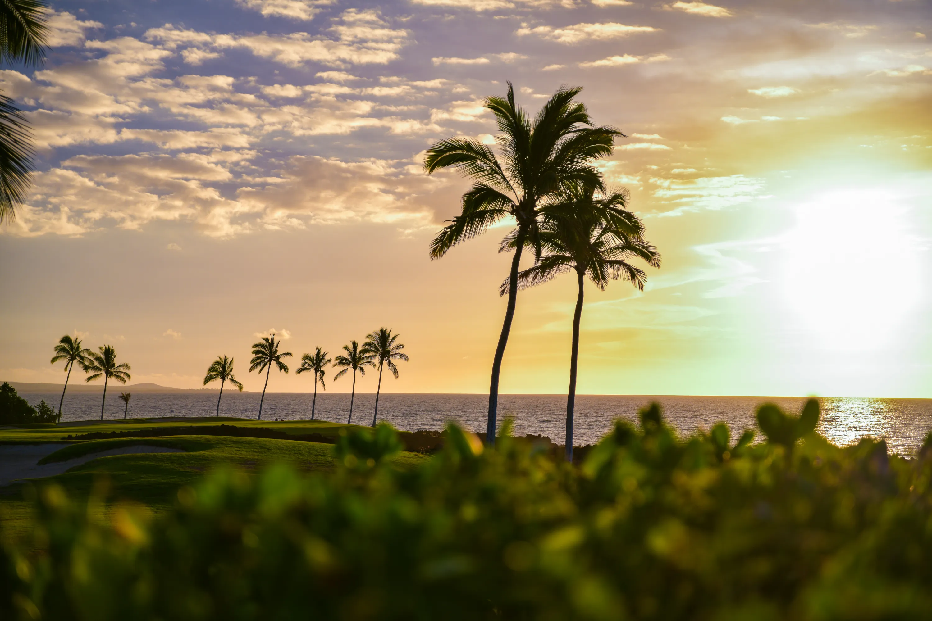 Palm trees silhouetted against a Kohala Coast sunset at Hali'i Kai