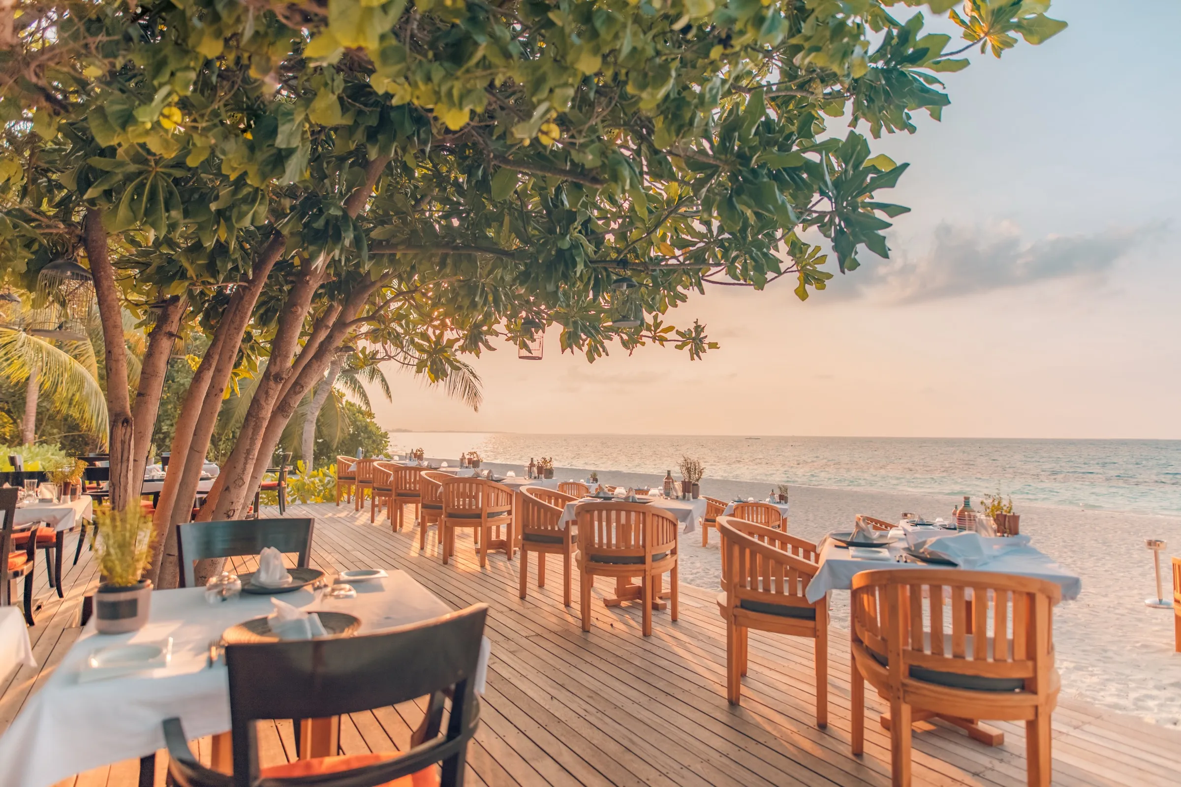 Oceanfront tables set under trees on a wooden deck at golden hour