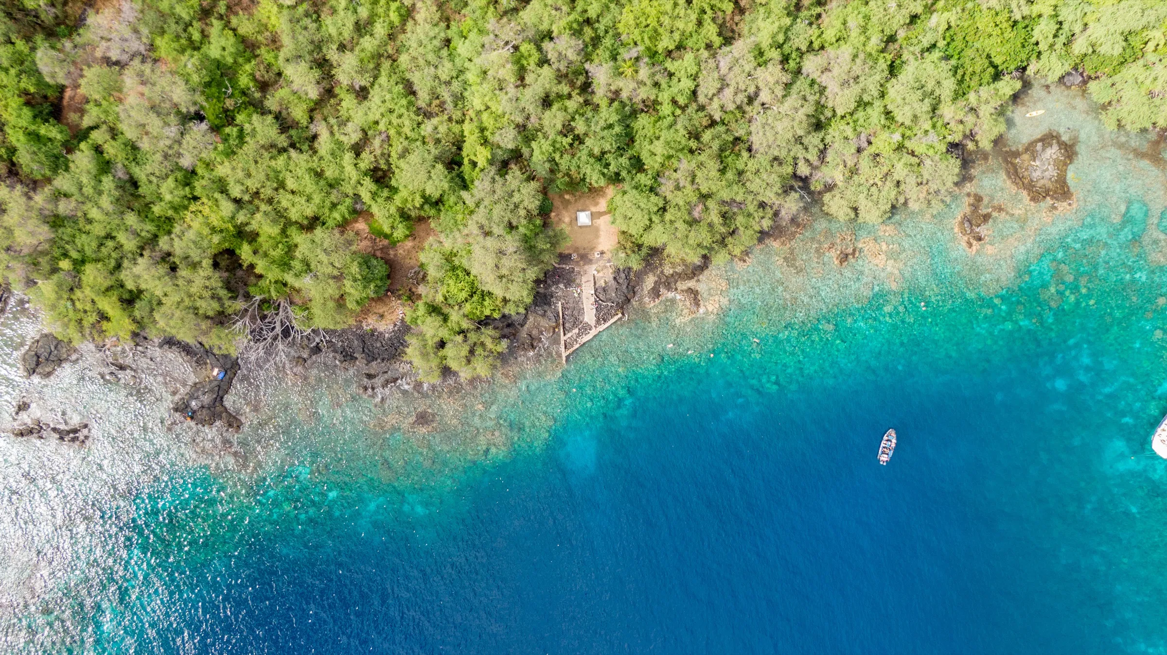 An aerial view of the clear turquoise reef and forested shoreline of Kealakekua Bay