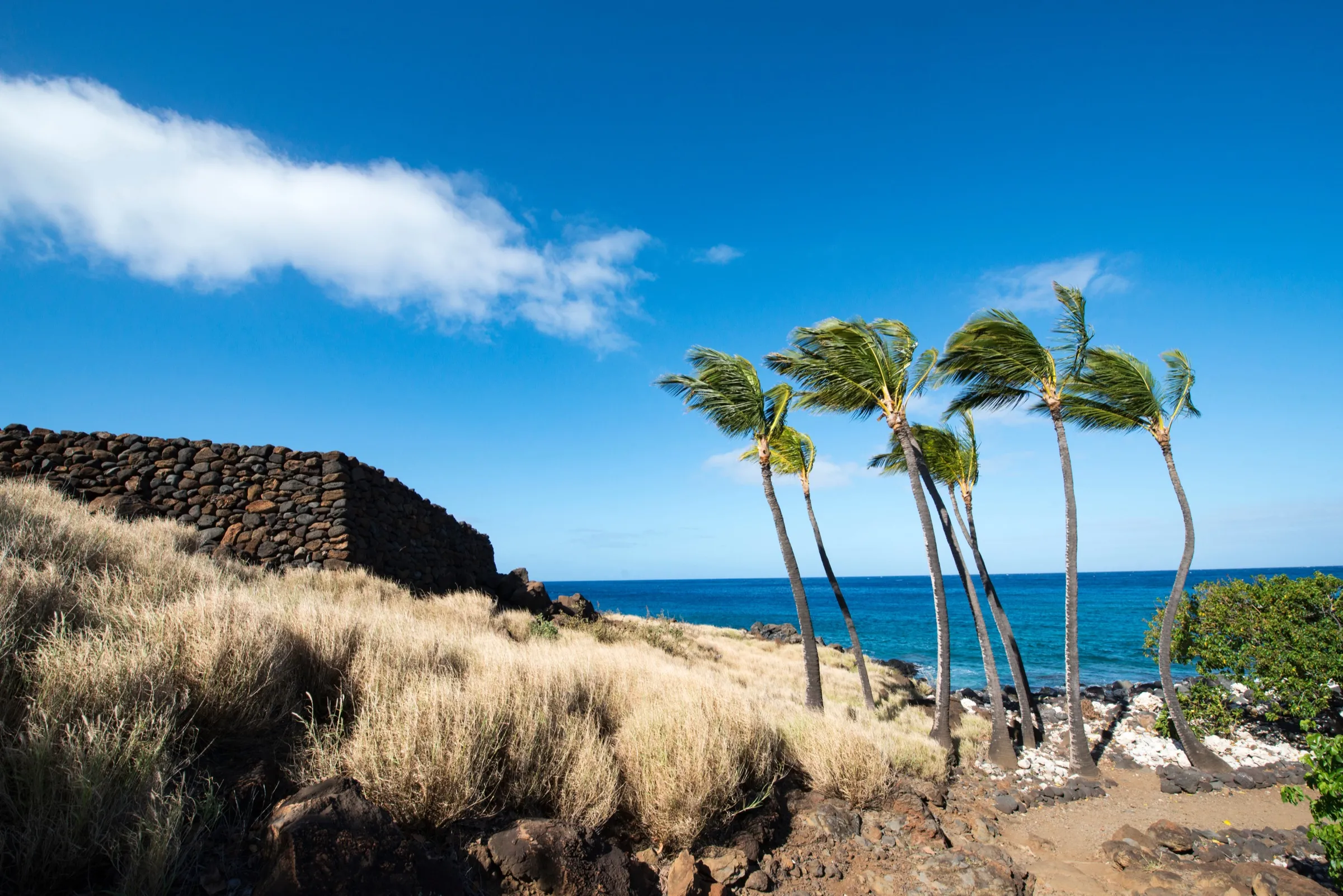 A remote Kohala coastline of blue water and dry grassland where an ancient village stood