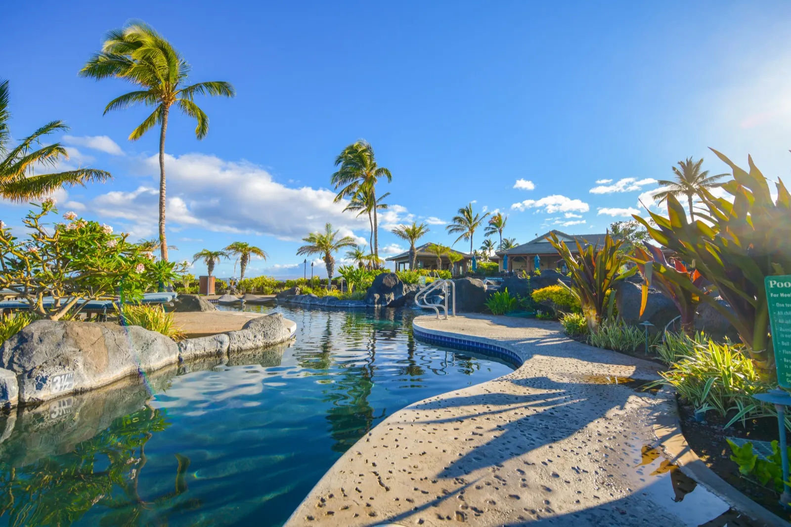 The Ocean Club's lagoon-style saltwater pool at Hali'i Kai, ringed by palms with the Pacific beyond