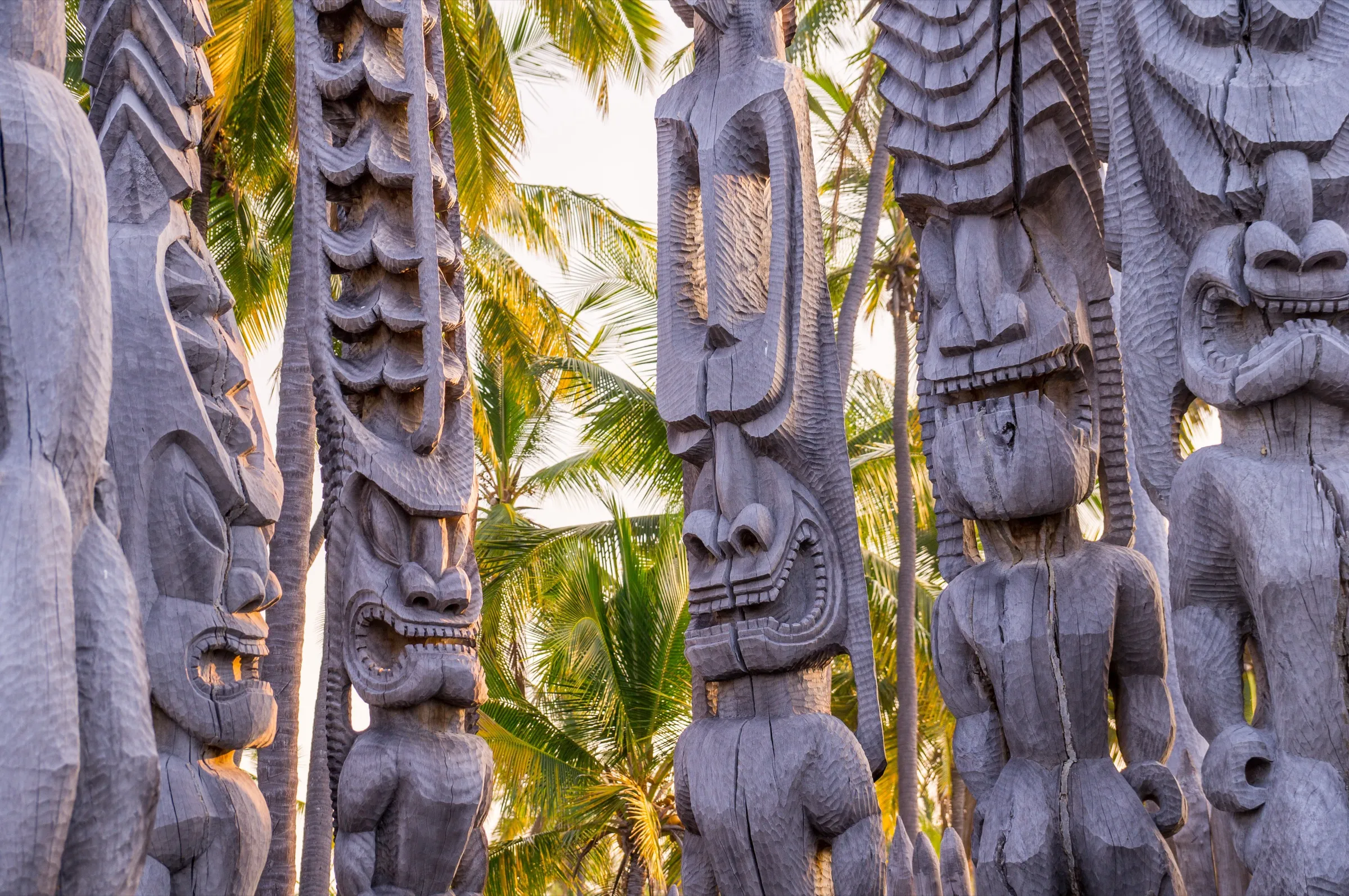 Carved wooden ki'i statues standing among palms at Pu'uhonua o Honaunau