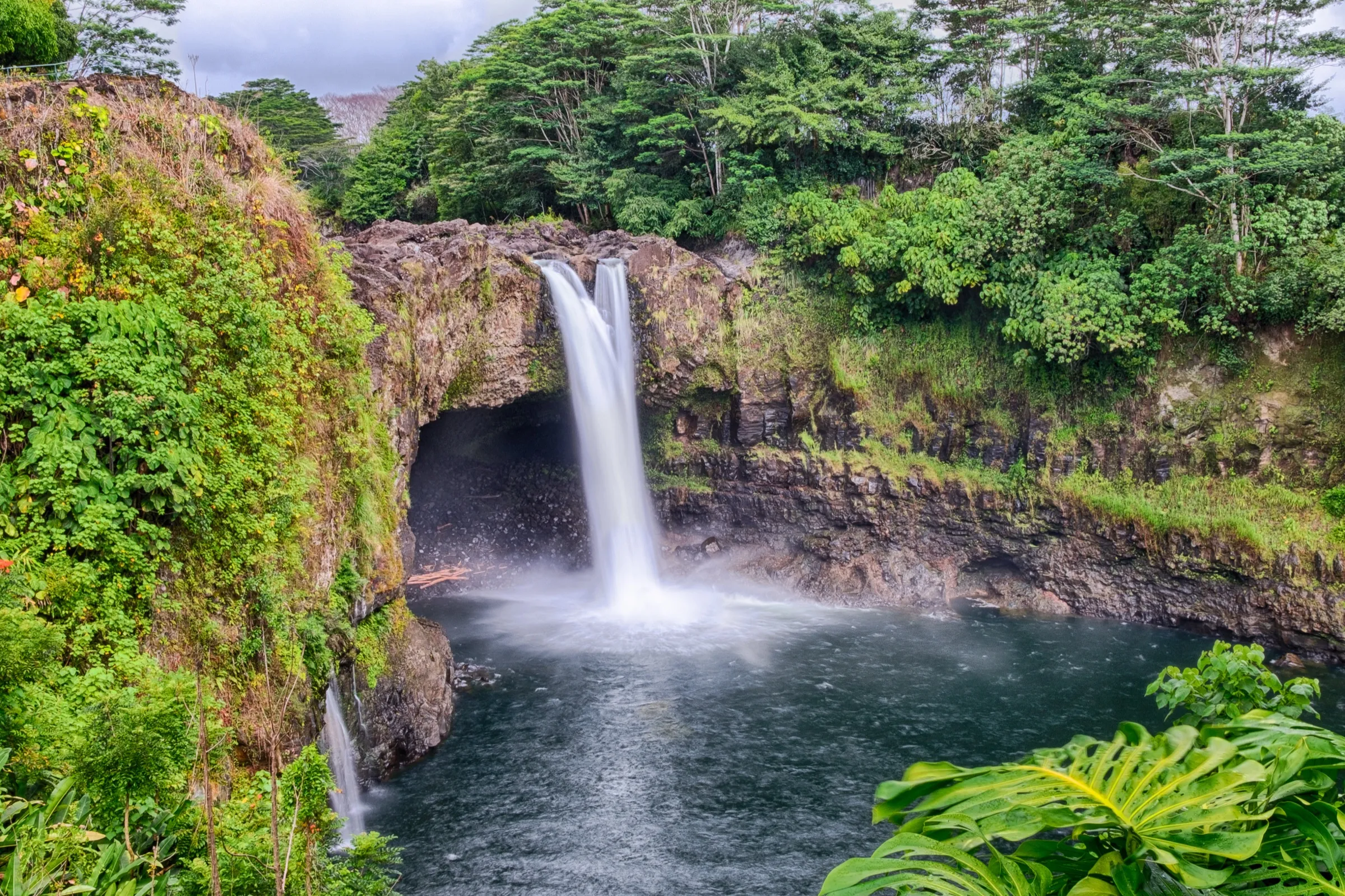 A wide Hilo waterfall dropping into a green rainforest pool