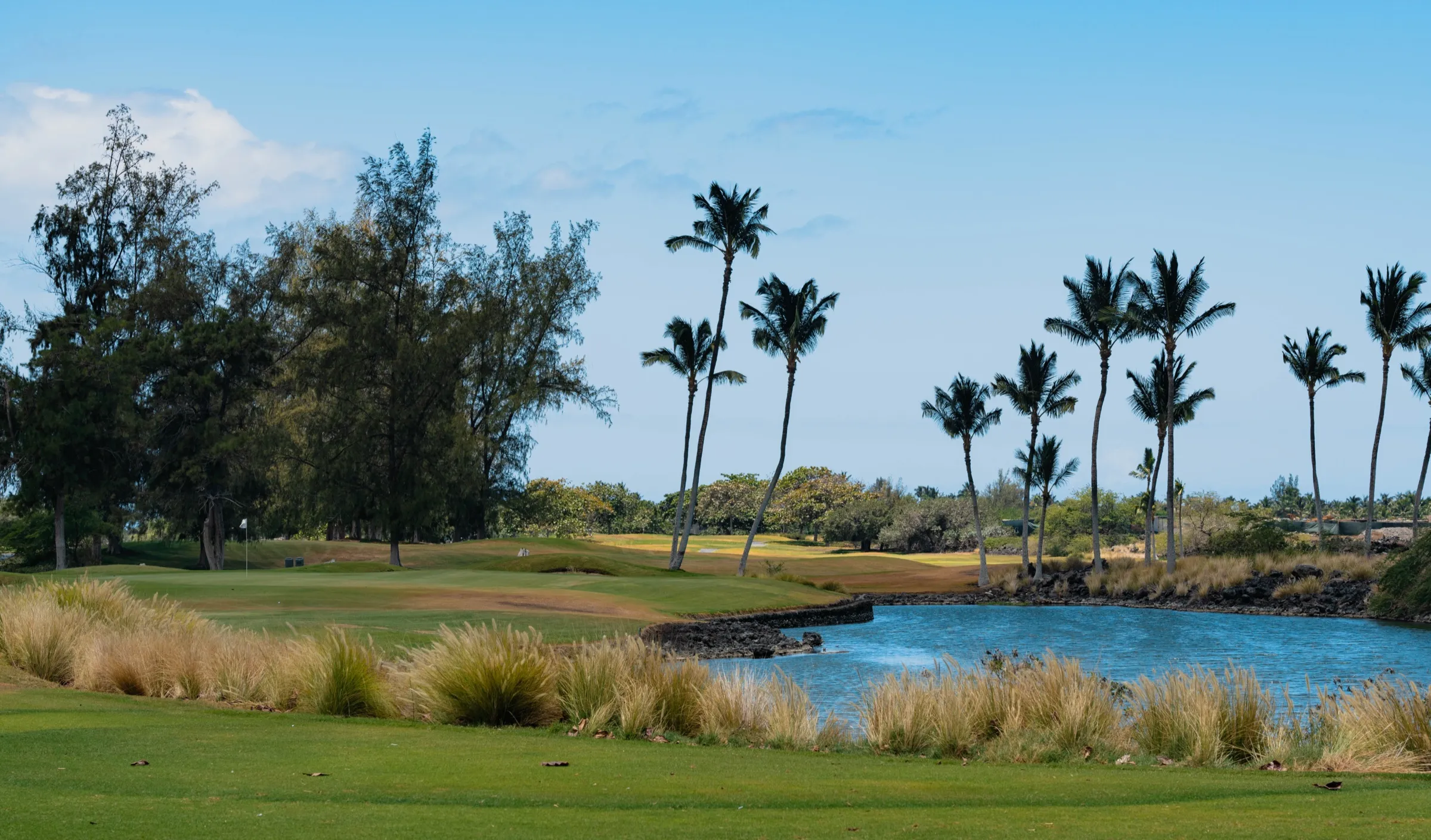 A manicured golf fairway winding between black lava and the blue Pacific