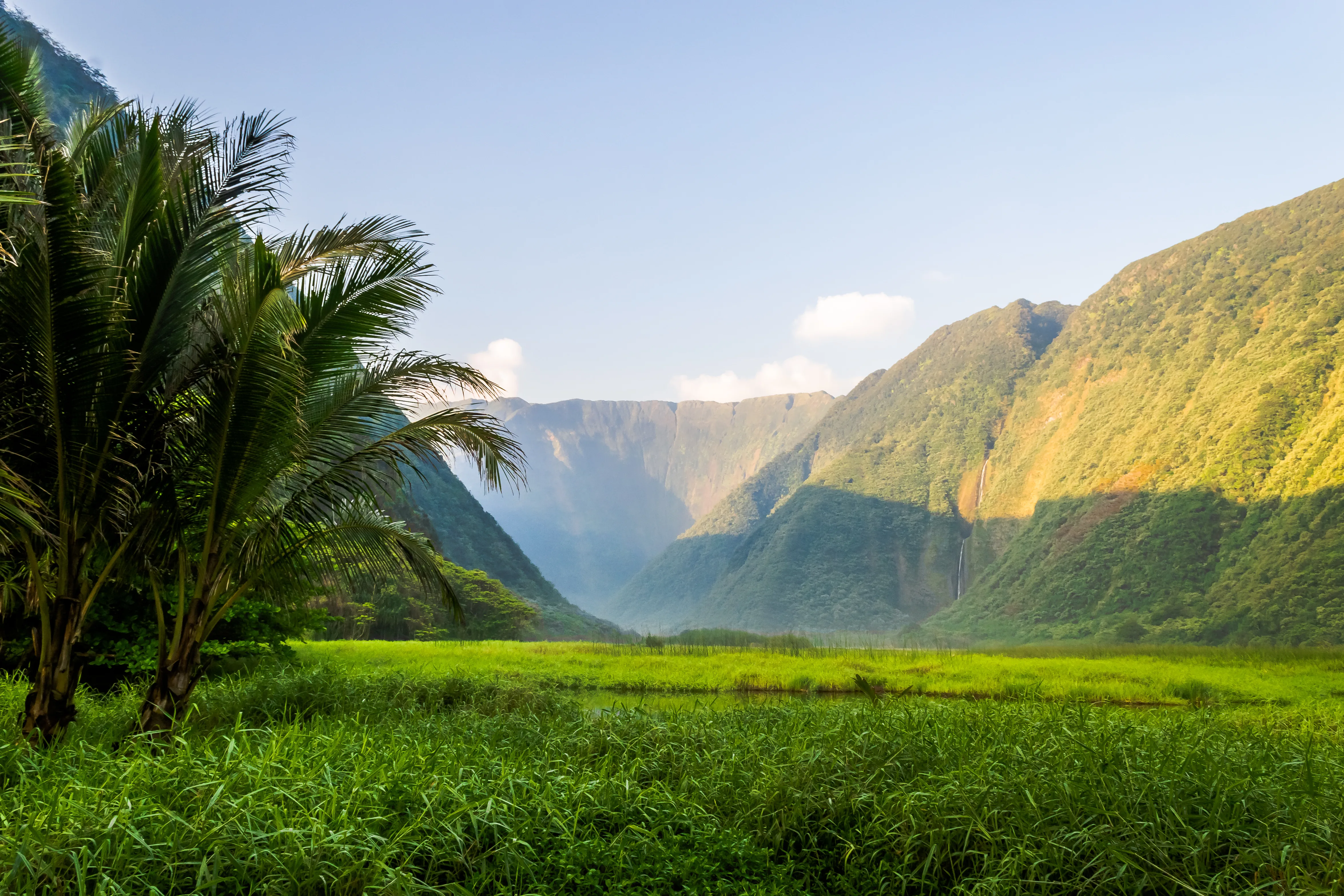 The green cliffs and valley floor of Waipi'o on Hawai'i Island