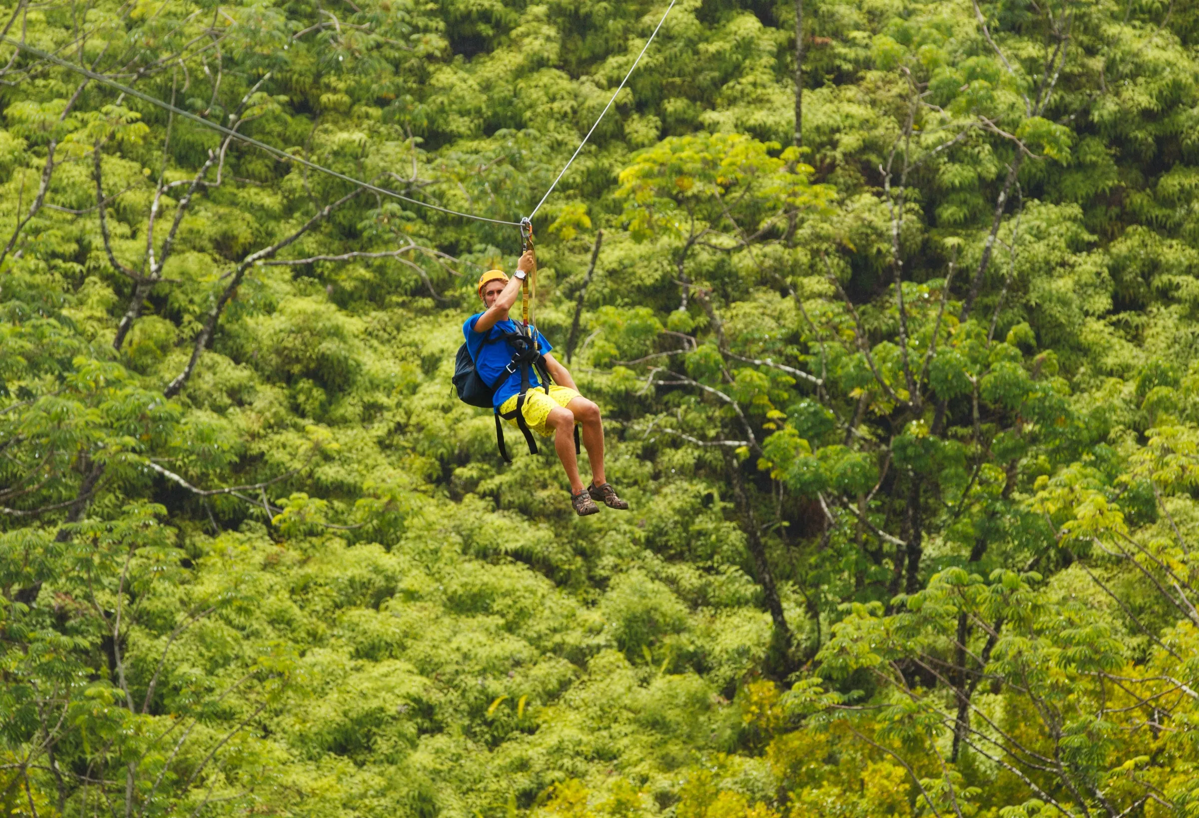 A zipliner gliding high over green rainforest canopy on the Big Island